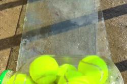 包含泰山场边指挥情绪激动，曼城队员怒摔水瓶！的词条
